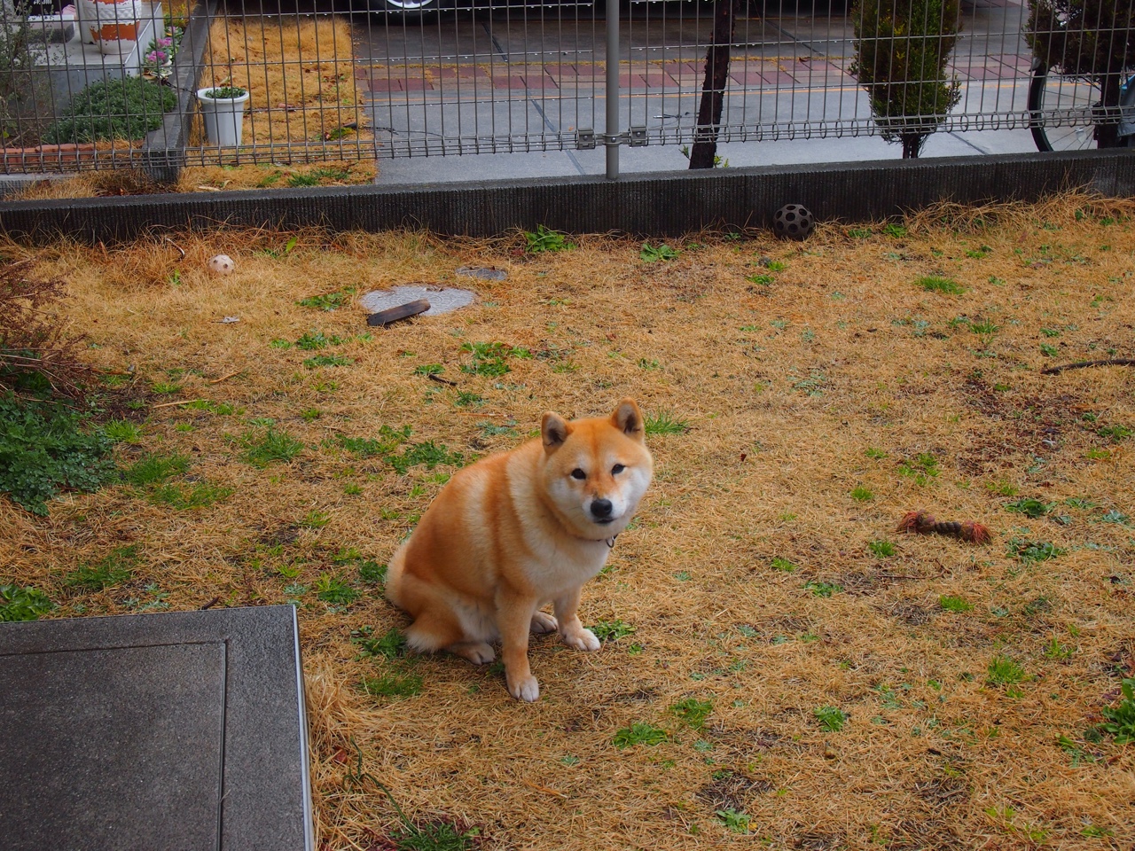 新闻中心质量管理体系再升级,中国新闻质量