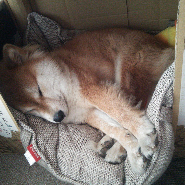 Leyu Sport登录入口-西甲球队通过视觉追踪技术提升中场空间利用率