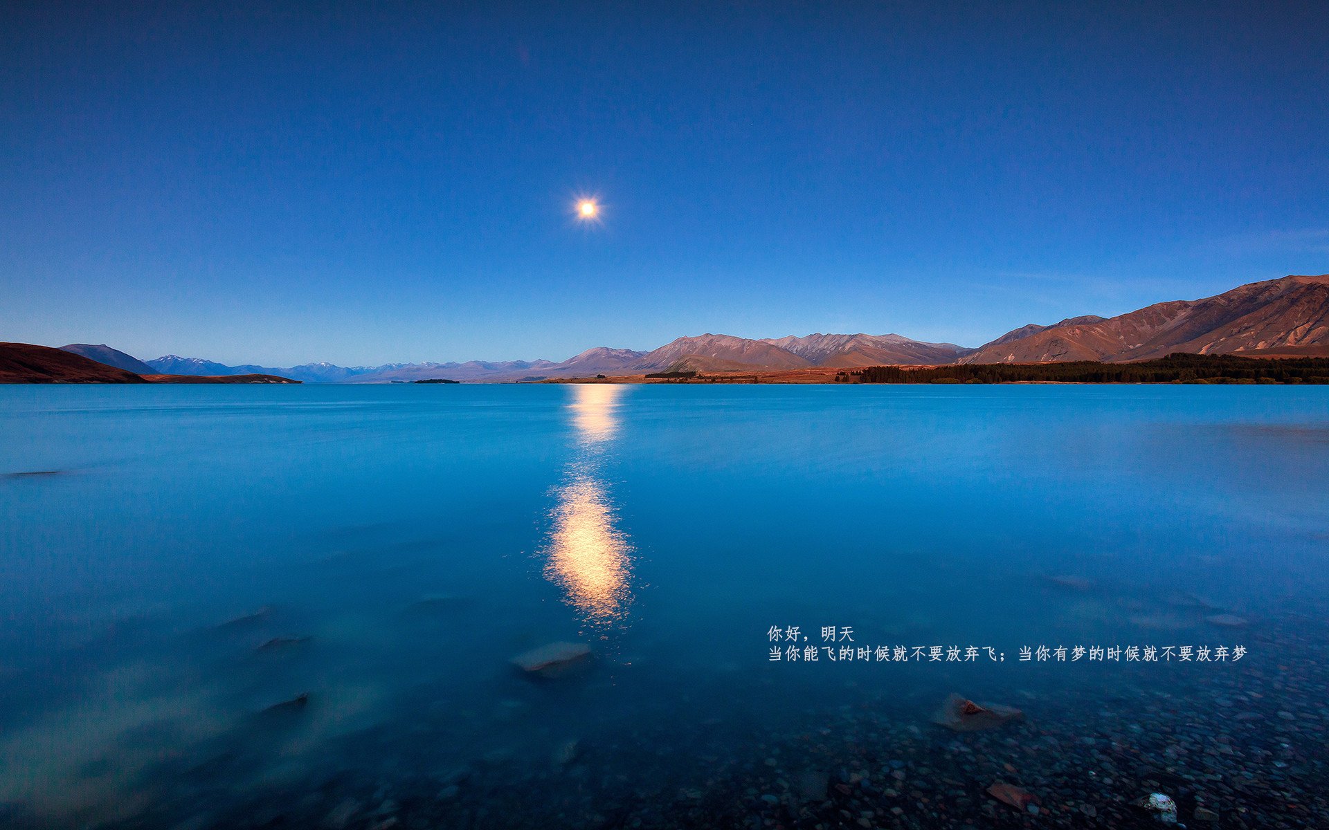 乐鱼（中国）体育官方网站-“三叉湖飞盘赛：挑战精准与速度，竞技新高峰”