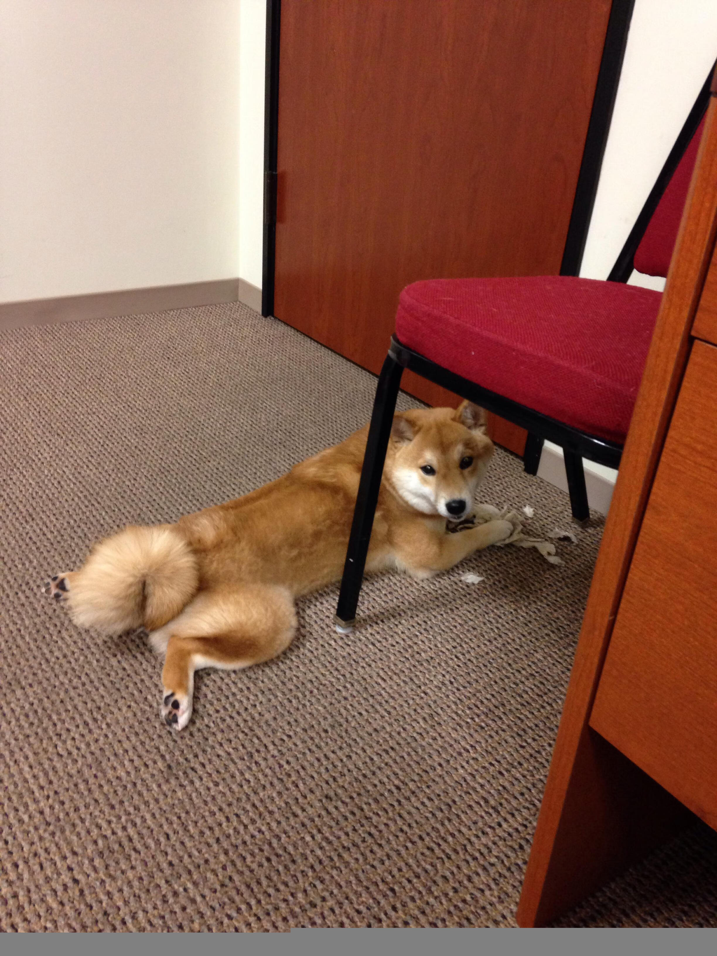 亚冠联赛中国青年队爆冷 球迷呼吁完善青训,2021亚冠为何派青年队