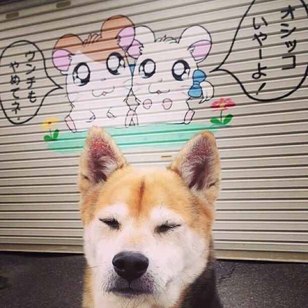 乐鱼电竞-战队比赛服全新升级设计融入城市元素，战队赛标志怎么装备