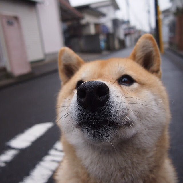 杨瀚森场上阅读能力提升把握传球时机，杨翰简历