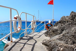 乐鱼（中国）体育官方网站-海湾者未来青训体系逐渐完善，海湾技术