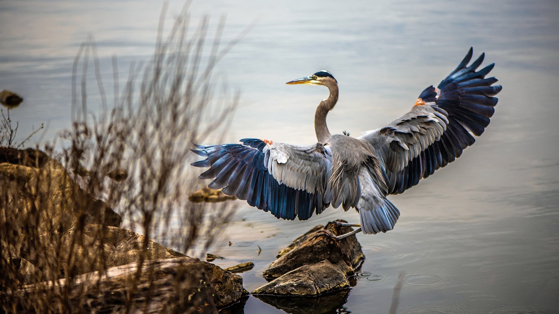 乐鱼体育(中国)官方网站-世界杯爆点不断：精彩瞬间一次次刷屏！，世界杯爆冷夺冠
