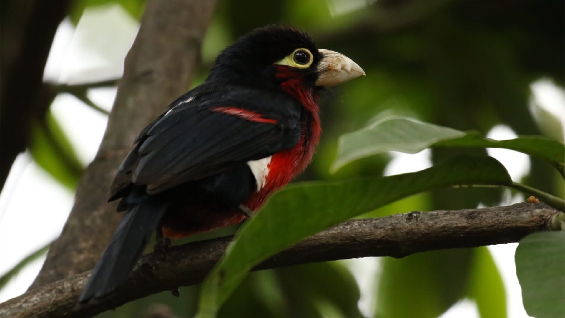 体育新闻中心公开国家级体育场馆建设进度通报，中国体育场馆的建设情况
