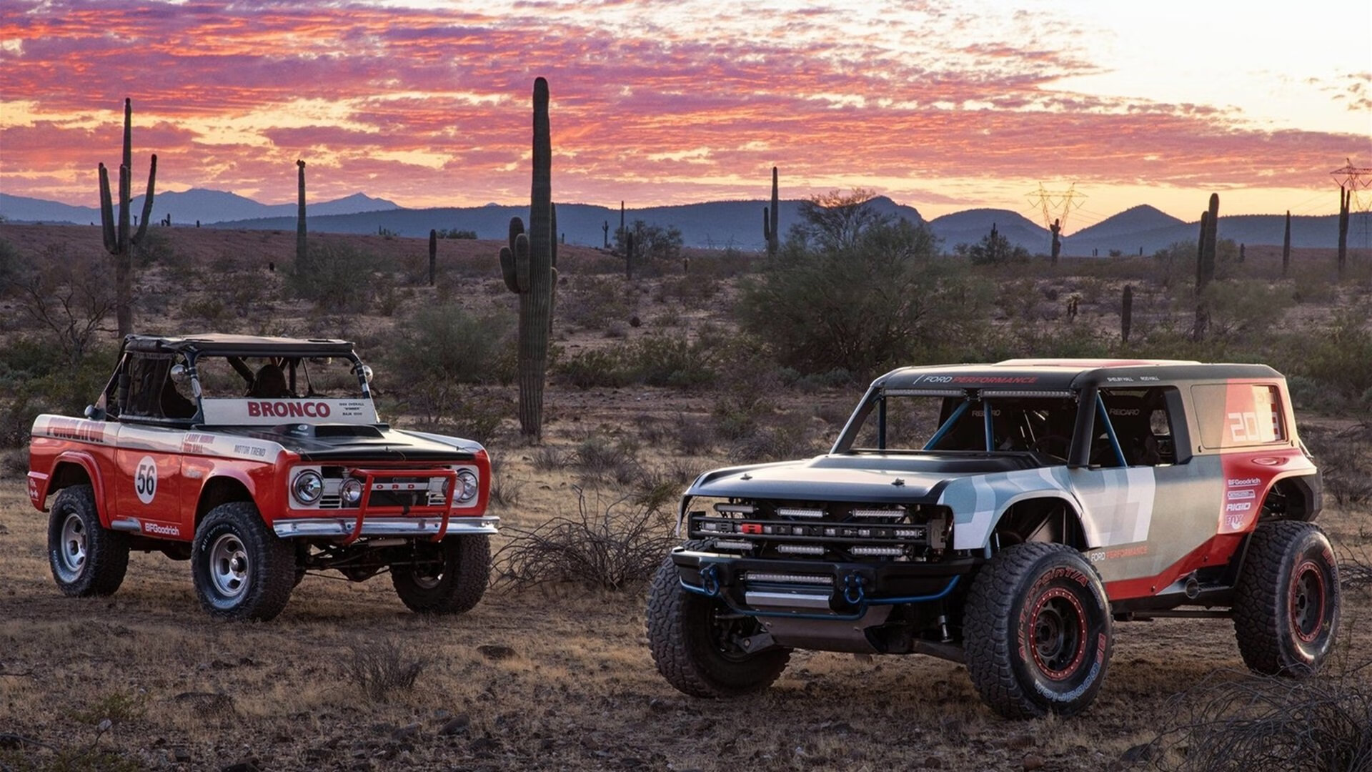国际田径联合会推广青少年运动普及项目,青少年田径锦标赛