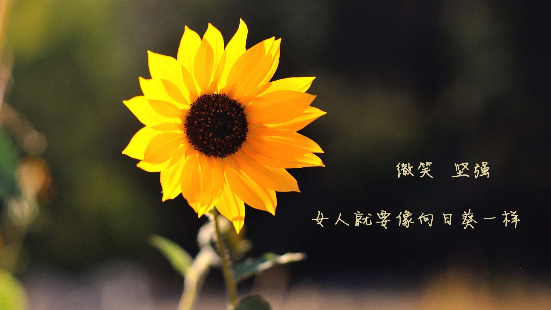 女子篮球国家队加强传切配合提升攻击多样性，女子篮球队训练方法