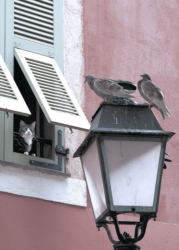 皮特·斯图斯：凭借精准拦截与快速反击成南非防守基石，in 斯皮特 of