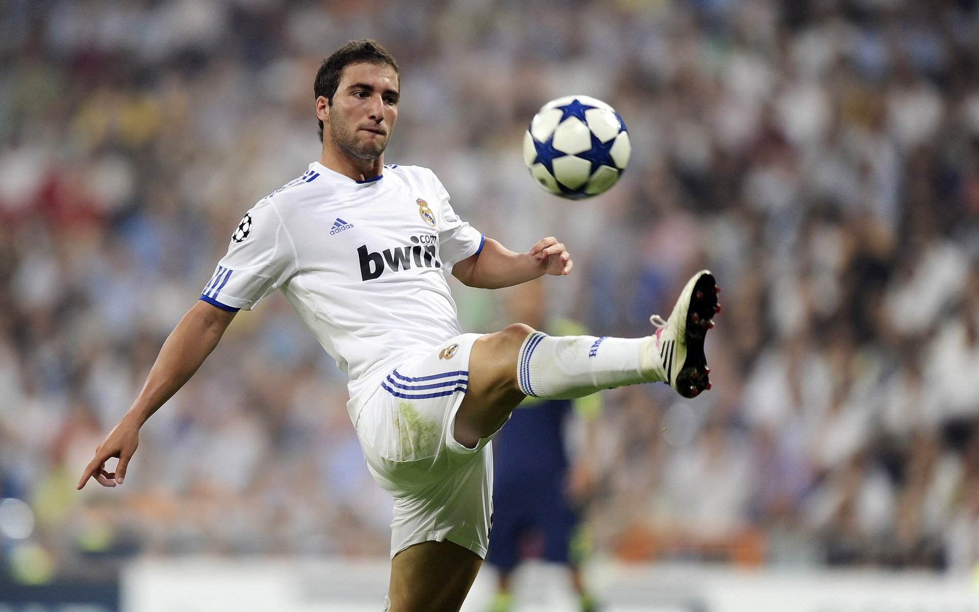 世界杯非洲区预选赛：加纳关键一战逆转科特迪瓦 青年军展现爆发力